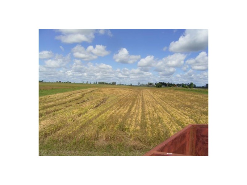 12176 Cedar Point, Kyogle NSW 2474