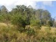 Lot 12 Homeleigh Road, Kyogle NSW 2474