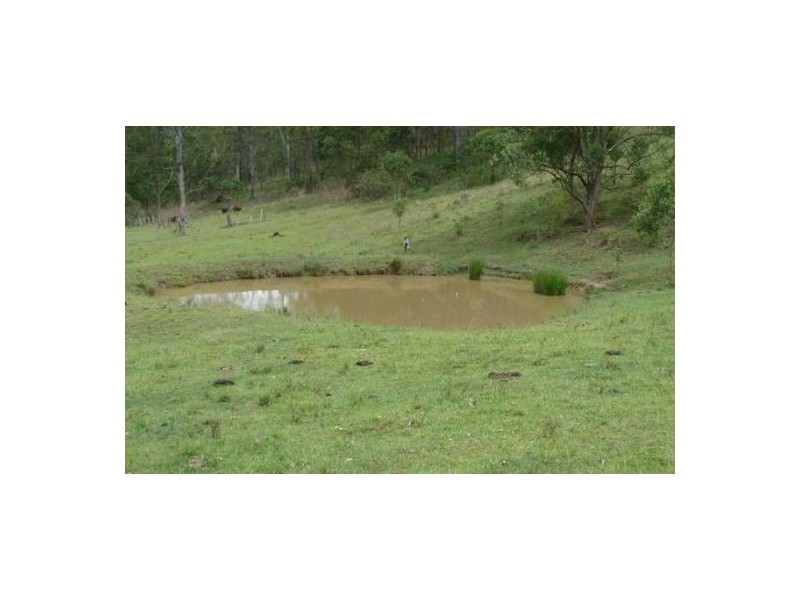 Lot 53 Gorge Creek Road, Grevillia NSW 2474