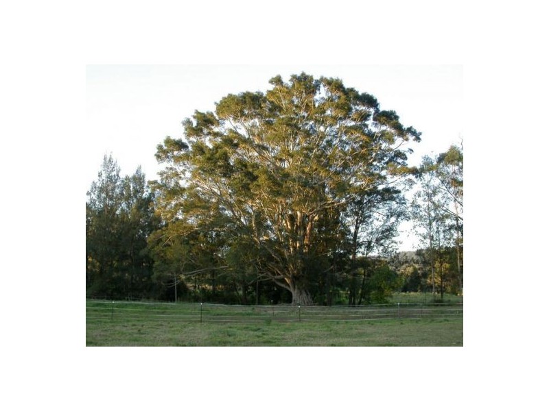 3 Oakey Creek Road, Georgica NSW 2480