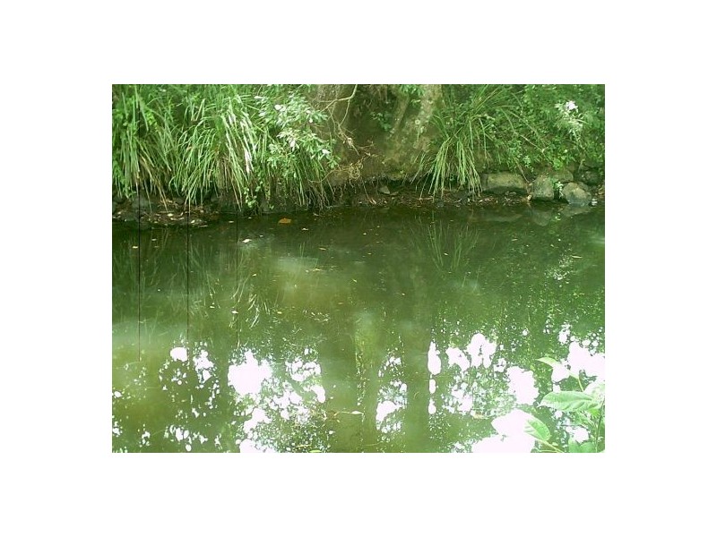 3 Oakey Creek Road, Georgica NSW 2480