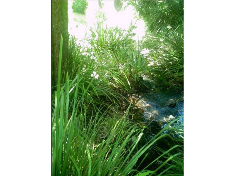 3 Oakey Creek Road, Georgica NSW 2480