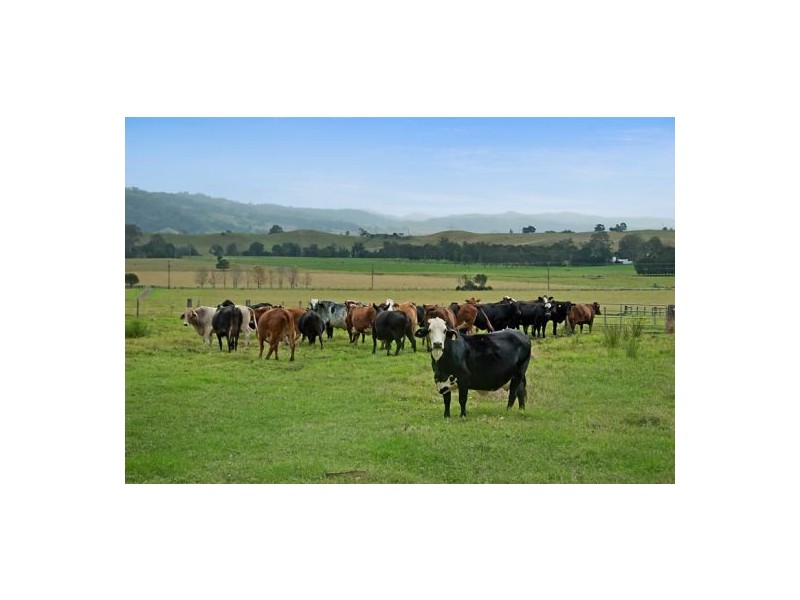 Lot 28 1a2 Mayfield Estate, Kyogle NSW 2474