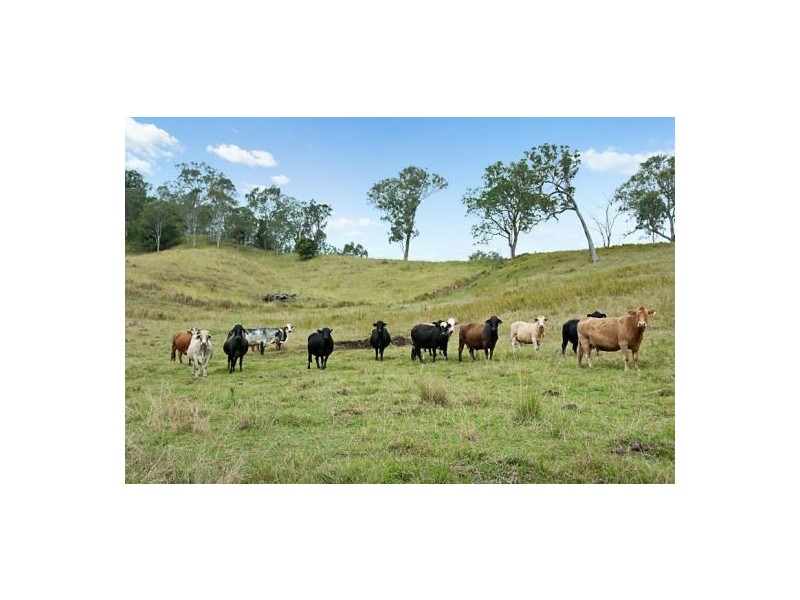 Lot 40 1a2 Mayfield Estate, Kyogle NSW 2474