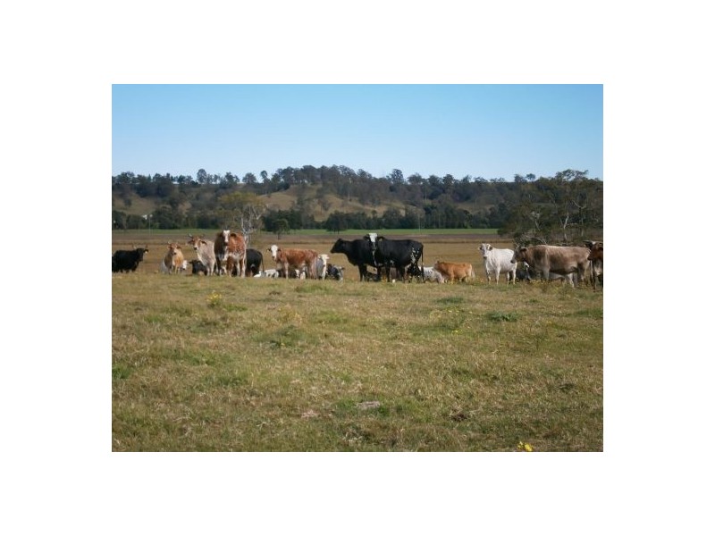 Lot 1 Summerland Way, Kyogle NSW 2474