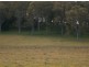 Lot 1 Summerland Way, Kyogle NSW 2474
