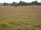 Lot 1 Summerland Way, Kyogle NSW 2474