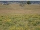 Lot 1 Summerland Way, Kyogle NSW 2474