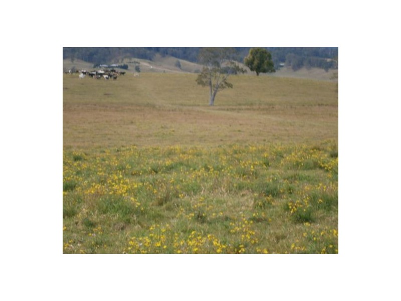 Lot 1 Summerland Way, Kyogle NSW 2474