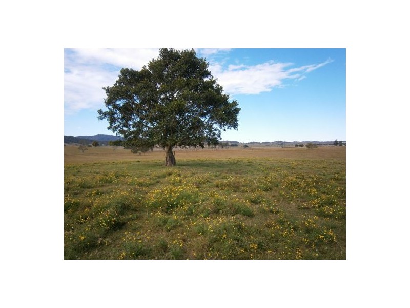 Lot 1 Summerland Way, Kyogle NSW 2474