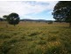 Lot 1 Summerland Way, Kyogle NSW 2474