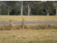 Lot 1 Summerland Way, Kyogle NSW 2474