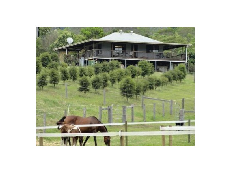 1445 Collins Creek Road, Kyogle NSW 2474