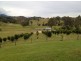 1445 Collins Creek Road, Kyogle NSW 2474