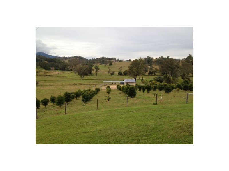 1445 Collins Creek Road, Kyogle NSW 2474
