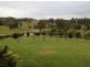1445 Collins Creek Road, Kyogle NSW 2474