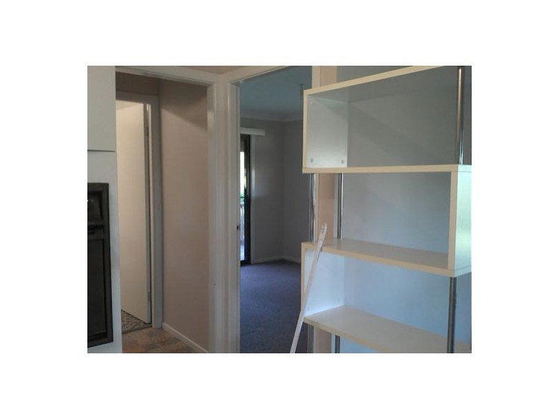 1445 Collins Creek Road, Kyogle NSW 2474