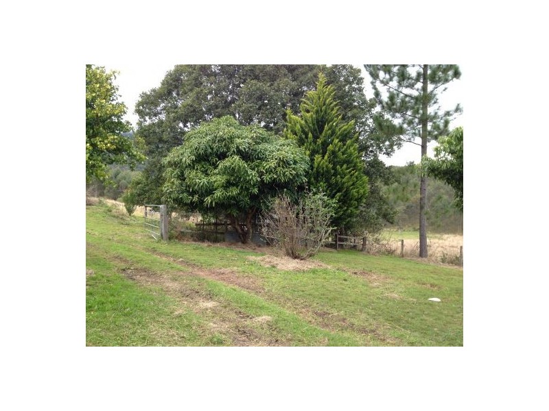 1207 Summerland Way, Wiangaree NSW 2474