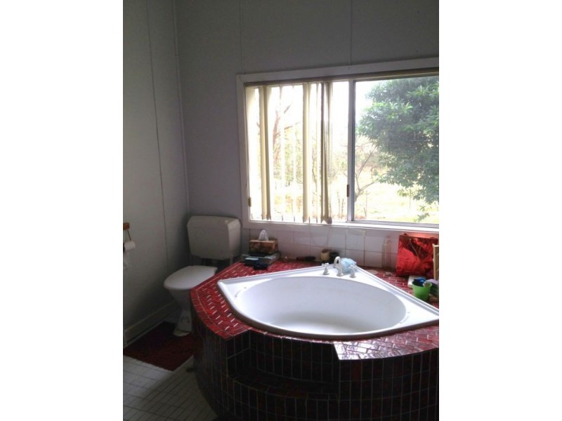1207 Summerland Way, Wiangaree NSW 2474