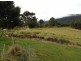 1207 Summerland Way, Wiangaree NSW 2474