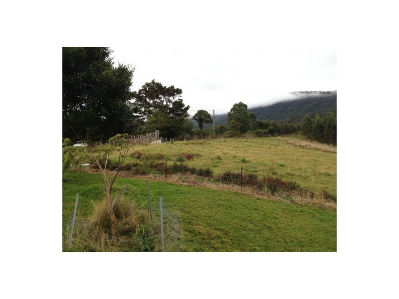 1207 Summerland Way, Wiangaree NSW 2474