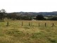 1207 Summerland Way, Wiangaree NSW 2474