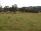 1207 Summerland Way, Wiangaree NSW 2474