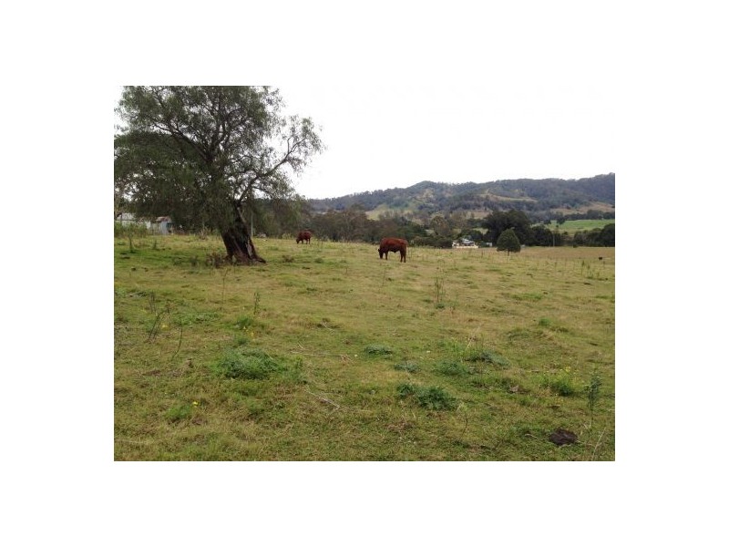 1207 Summerland Way, Wiangaree NSW 2474