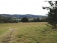 1207 Summerland Way, Wiangaree NSW 2474