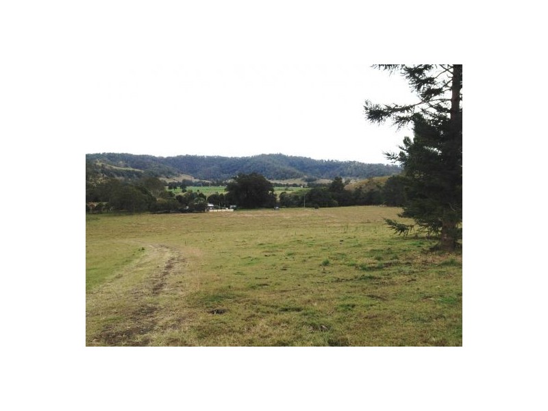1207 Summerland Way, Wiangaree NSW 2474