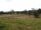 1207 Summerland Way, Wiangaree NSW 2474
