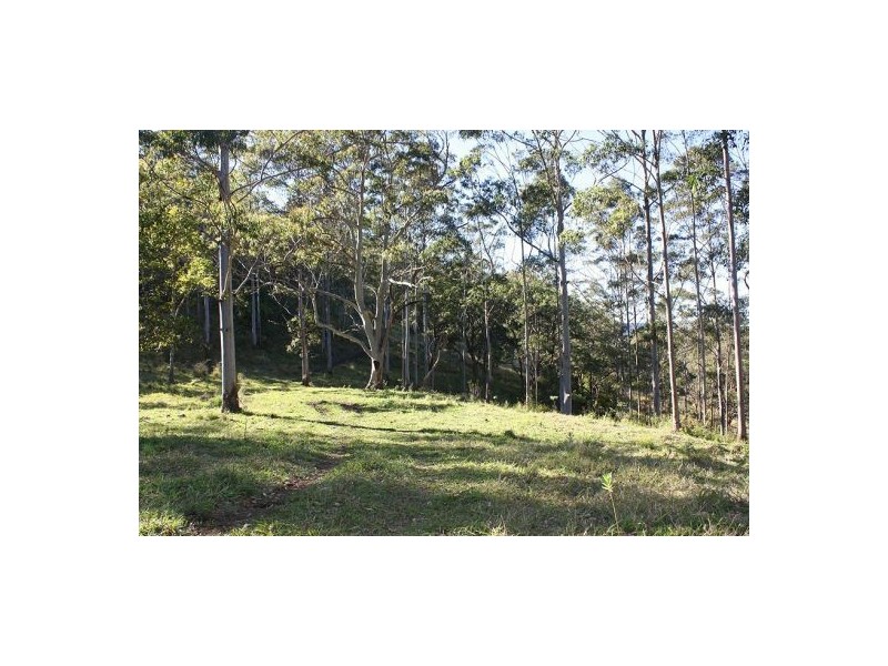 183a Williams Road, Cawongla NSW 2474