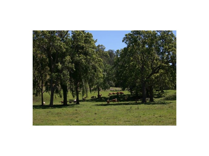 183a Williams Road, Cawongla NSW 2474