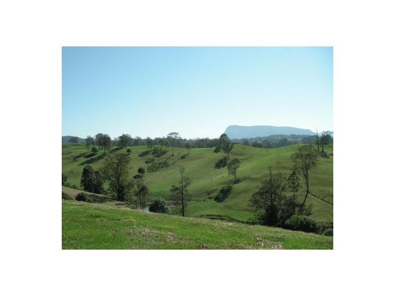 183 Williams Road, Cawongla NSW 2474