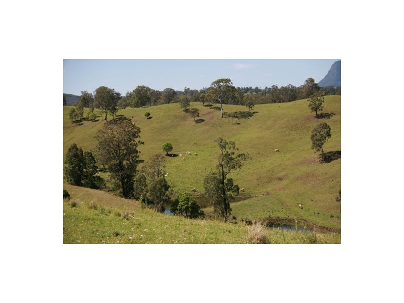 183 Williams Road, Cawongla NSW 2474