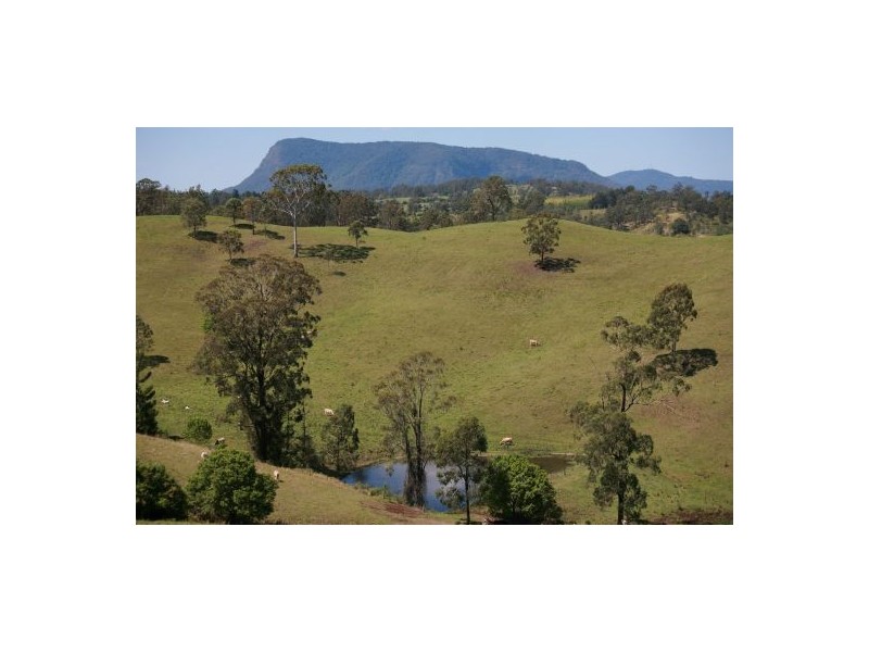 183 Williams Road, Cawongla NSW 2474