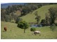 183 Williams Road, Cawongla NSW 2474