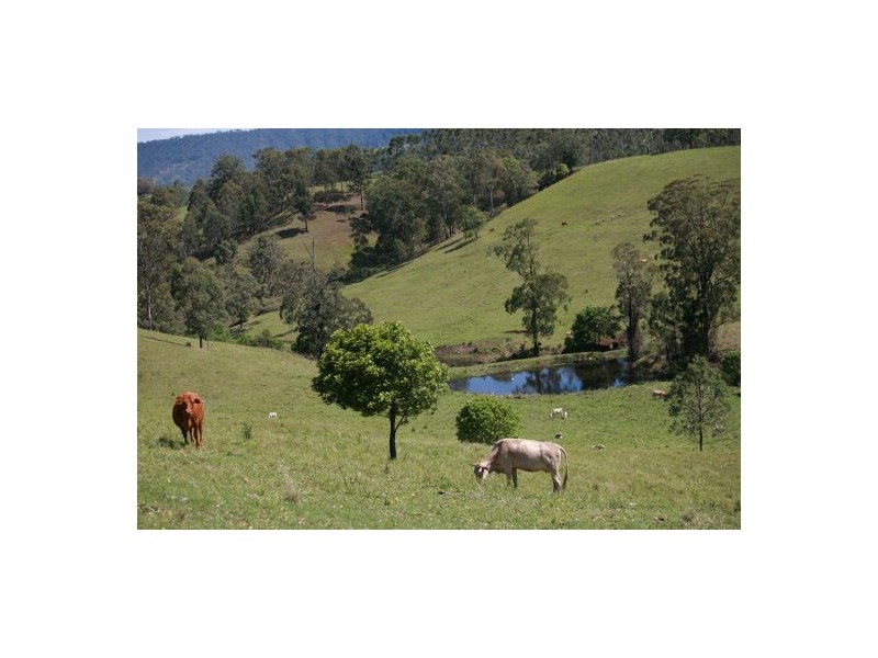 183 Williams Road, Cawongla NSW 2474
