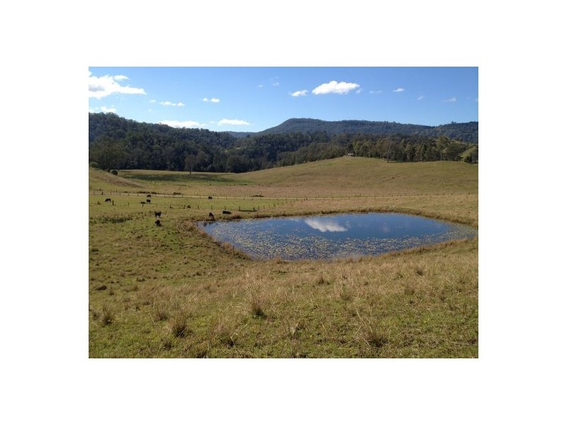 427 Hillyards Road, Boorabee Park NSW 2480