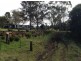 2922 Bentley Road, Boorabee Park NSW 2480