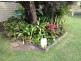 2922 Bentley Road, Boorabee Park NSW 2480