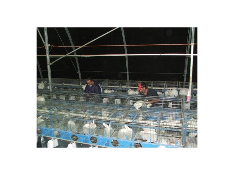 353 Green Pigeon Road, Kyogle NSW 2474