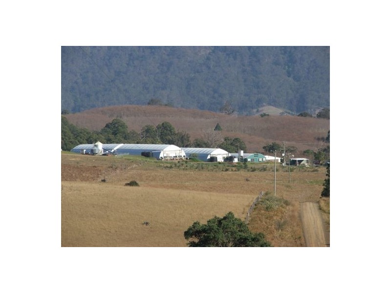 353 Green Pigeon Road, Kyogle NSW 2474