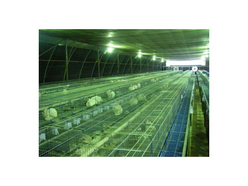 353 Green Pigeon Road, Kyogle NSW 2474