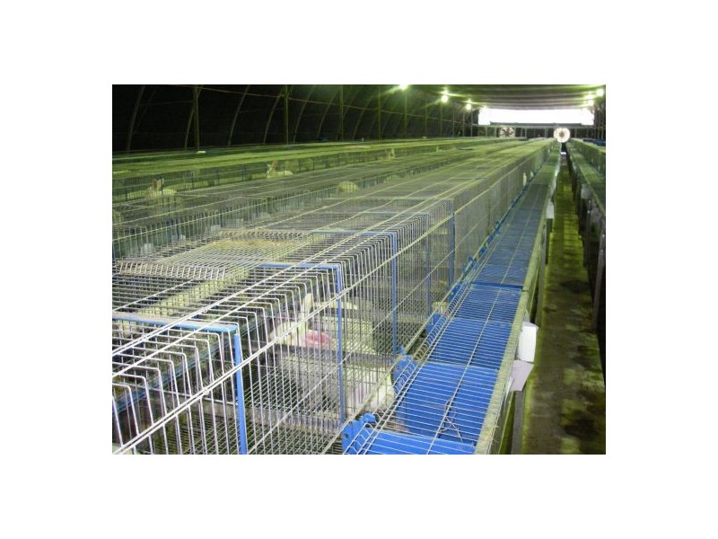 353 Green Pigeon Road, Kyogle NSW 2474