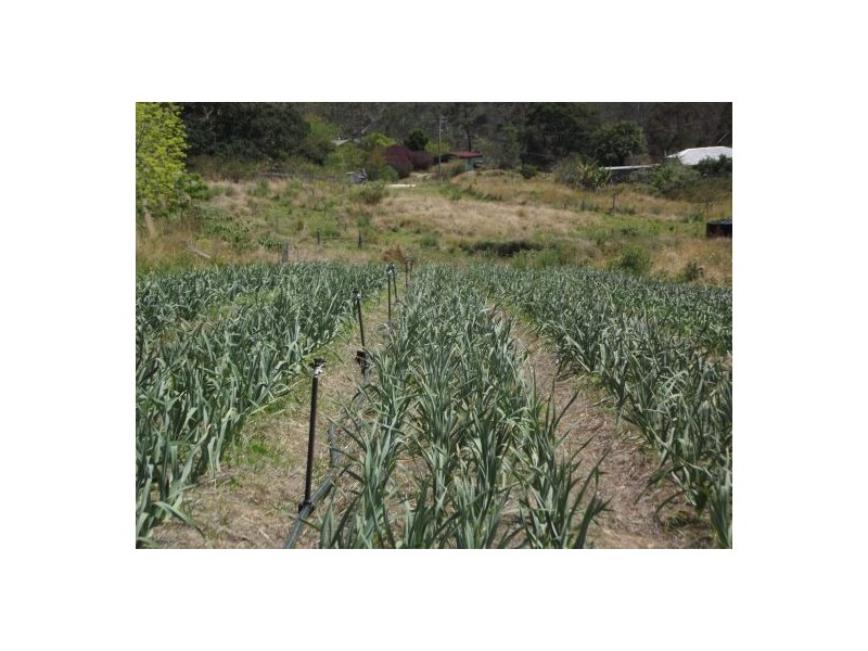 148 Newtons Road Lower Eden Creek, Kyogle NSW 2474