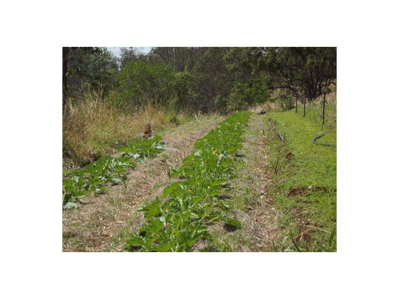 148 Newtons Road Lower Eden Creek, Kyogle NSW 2474