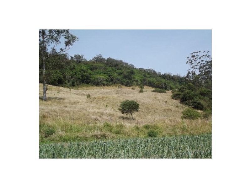 148 Newtons Road Lower Eden Creek, Kyogle NSW 2474