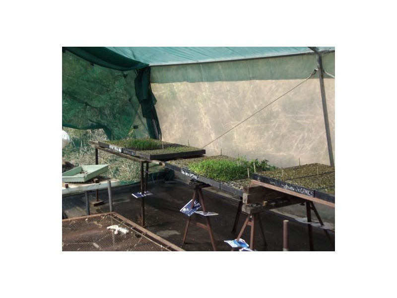 148 Newtons Road Lower Eden Creek, Kyogle NSW 2474