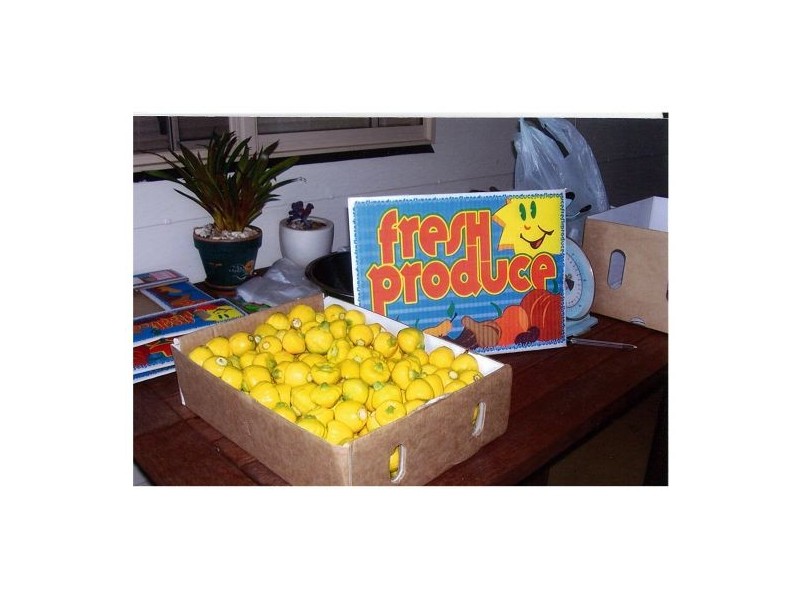 148 Newtons Road Lower Eden Creek, Kyogle NSW 2474